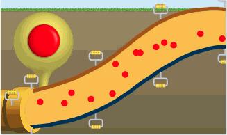 The red dots represent particles of the fluid but they are not all shown the pipe