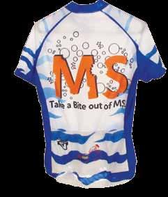 Rally your team members and strive to be awarded a team plaque at the Bike MS Awards Party.