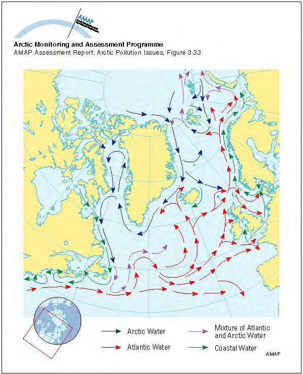 The main surface currents in the