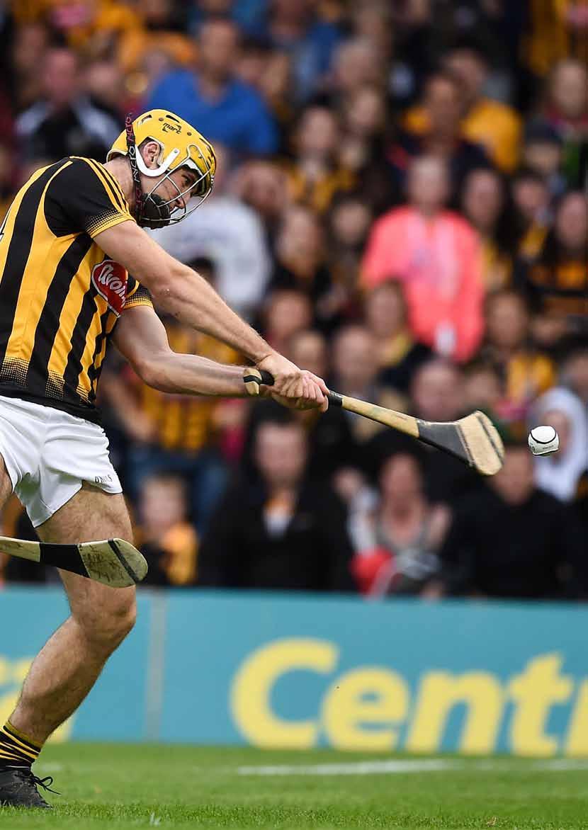 Senior Hurling review 2016 Hurling is one of our greatest gifts as a nation, preserving and nurturing it for future generations one of our key responsibilities.