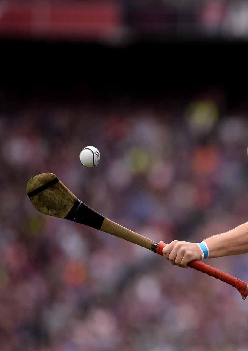 Senior Hurling review 2016 It would take six years for the blue and gold storm that we were waiting for to finally arrive.