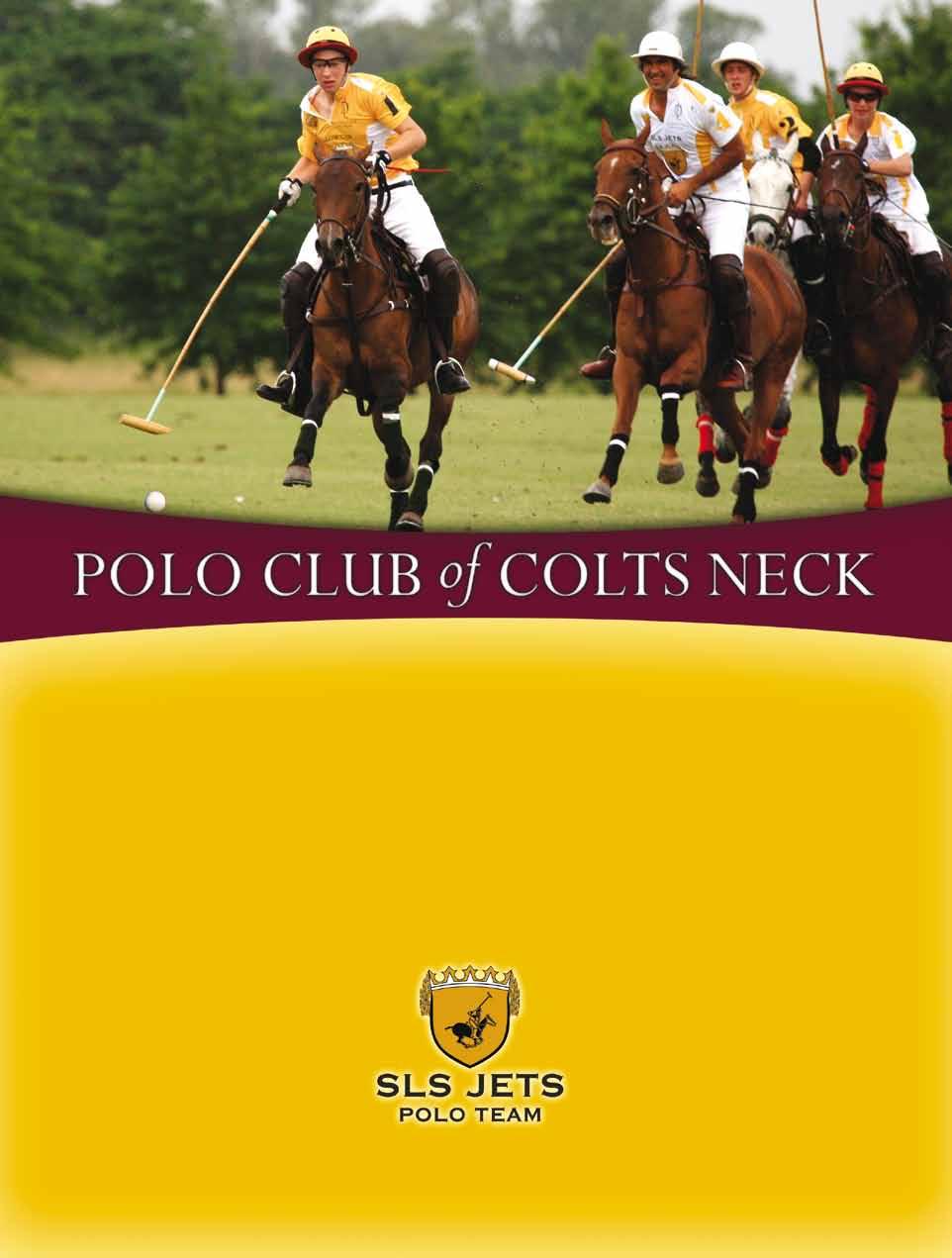 Experience the thrill of a live polo match, go onto the field to participate in the traditional divot stomping, walk about and socialize.