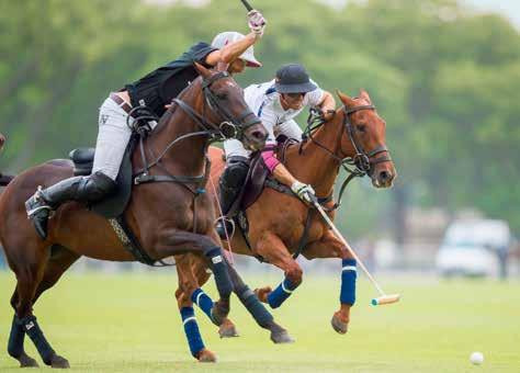 POLO The fourth consecutive meeting in the Open final started off with Ellerstina being fast out of the blocks and led 3-1 (2 x Polito Pieres, 1 x