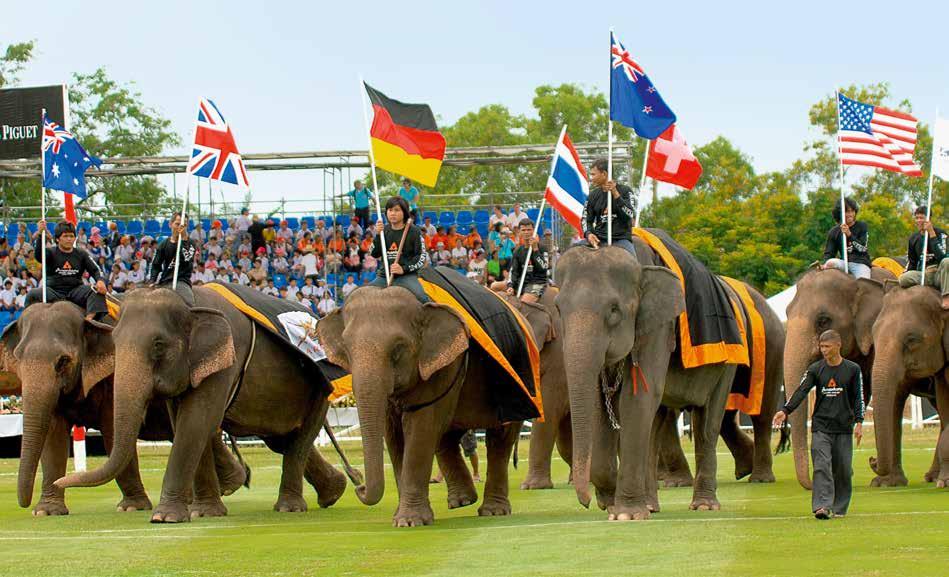 POLO The Golden Triangle Asian Elephant Foundation and the King s Cup Elephant Polo tournament Benefits for Thailand s elephants once a year gentle giants are the heroes on the polo ground The King s
