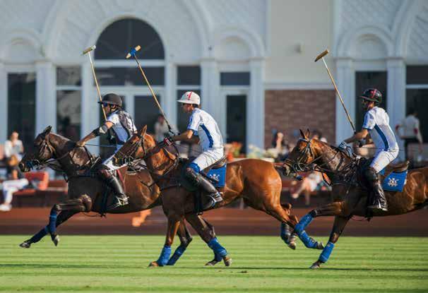 POLO Habtoor raised the Hildon Cup Before the final of the McLaren Cup, Habtoor Polo Team defeated UAE Polo by 11 goals to 8 to win the Hildon Cup.