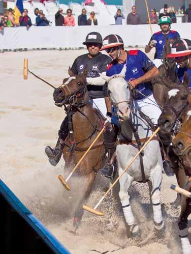 Polo tournament Six teams compromised of