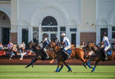 CONTENTS Polo 34 th Snow Polo World Cup St. Moritz...6 No way lead past Rommy Gianni and his Cartier Team at the world s best Snow Polo tournament Baku Moritz Polo Award 2018.