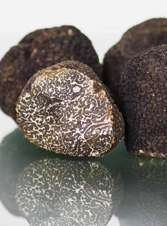 2017 was a rather bad truffle year and therefore you had to be willing to put between 6,000 8,000 for a kilo on the table.