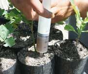 new source of income. The technology developed by us for the production of truffle trees is new and has great advantages over currently used technology.