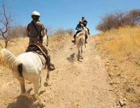 TRAVEL Safari of a lifetime in Namibia Combination of BMW X5 horsepower and pony power Riding with the giraffes Riding horses is great. Being in Namibia is great.