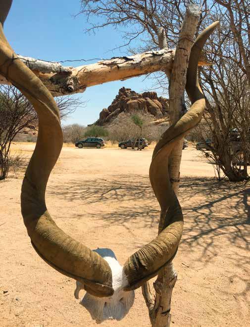 TRAVEL The time we spend at Okapuka is filled with laughter, awe inspiring safari rides amongst hundreds of wild game (oryx, impala, giraffe, kudu, springbock, zebra just to name a few),