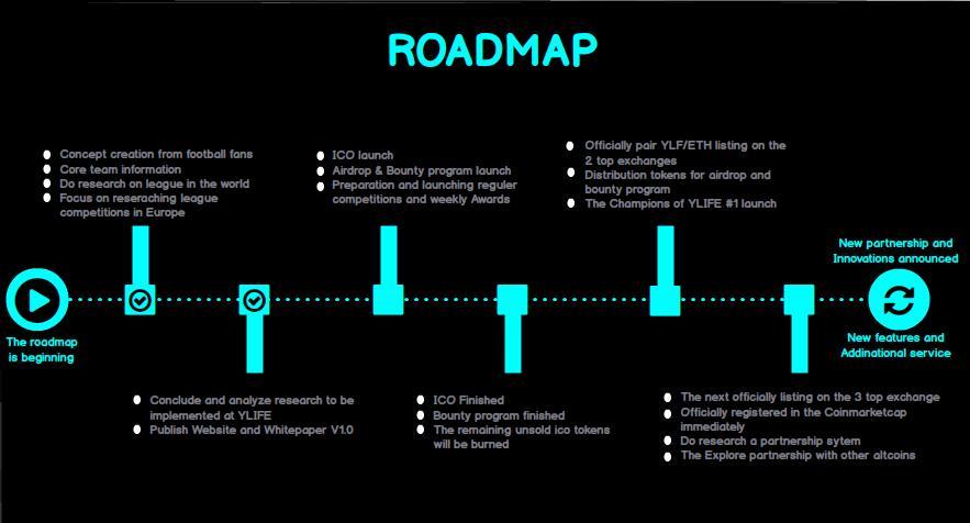 ROADMAP The road map of YLIFE is a strategic plan that determines the purpose of this project or the the desired outcome, and includes the main steps or milestone needed to achieve it.