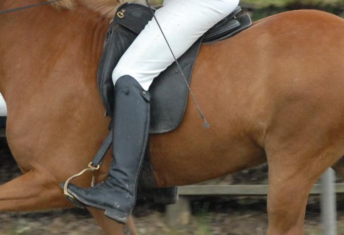 During canter departs many a mare starts bucking crazily because her rider tried to be overly zealous with the outside aids and tickled her sensitive hind end.