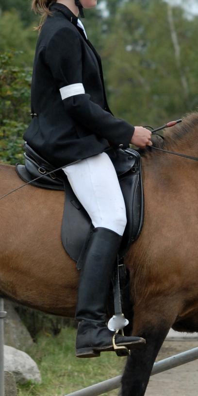 Here lines and position work out: the lower leg lies softly against the horse and breathes with the motion. Knee and hips do not block anything.