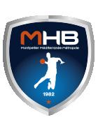 Media Information VELUX EHF Champions League