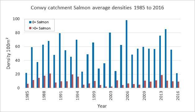 Juvenile Trend Analysis Statistical analysis of the juvenile monitoring programme is currently being reviewed. The graphs below are catchment averages for salmon and trout from 1985 to 2016.