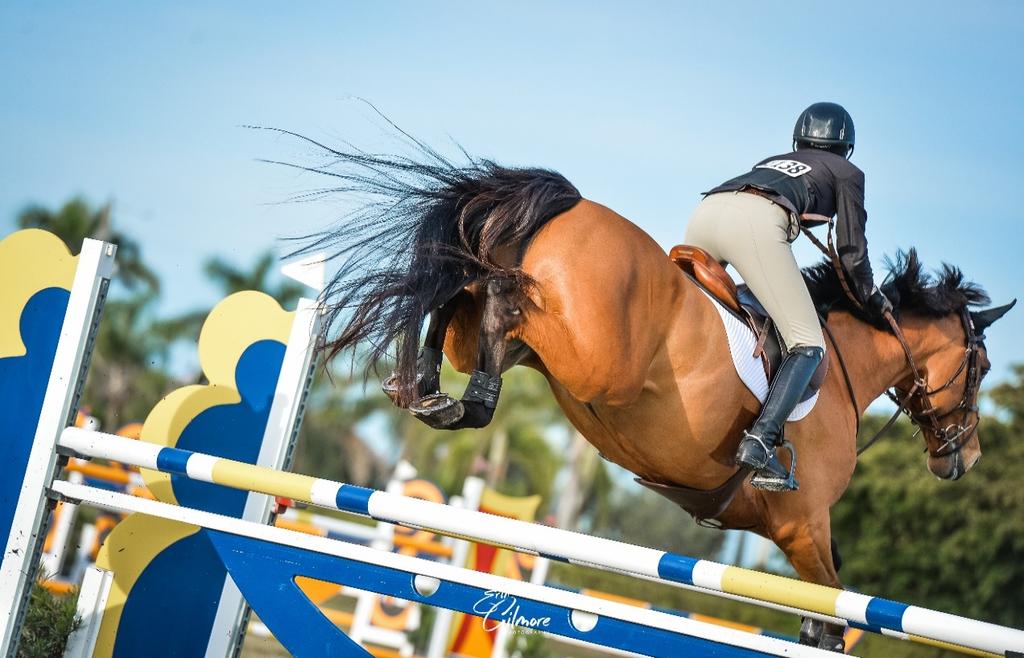 HUNTER CLASSICS Entry Fee for all Hunter Classics $50 unless otherwise noted Class 305 - M&S Neue Schule Bit O Straw Classic Entry Fee $50 Fences 2 6 Open to Junior or Amateur riders.