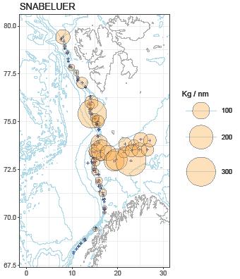 are combined trawl and acoustic surveys conducted alternatively and biennially along the continental slope in the Norwegian Sea.