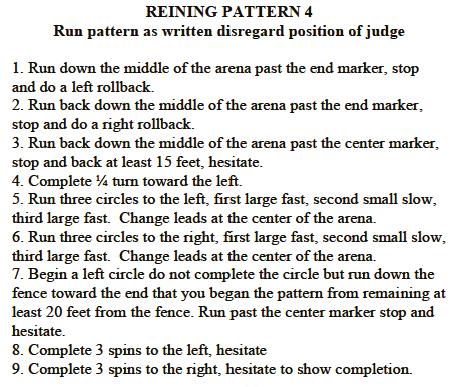 The One Thing for Every Part of Your Horse Open Reining Pattern #4 Standing