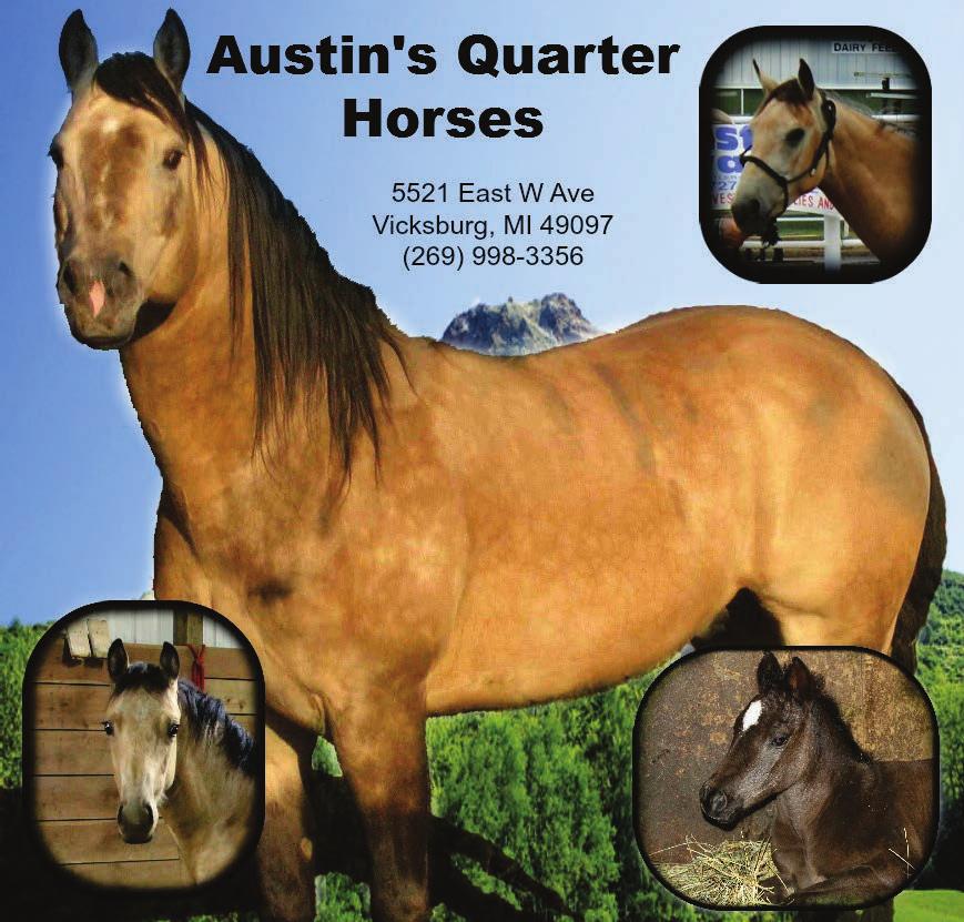 Please Thank Our Pasture Prime & Youth High Point Sponsor Austin s Quarter Horses we will be awarding a buckle to the Pasture Prime winner and a trophy saddle to the Youth High Point Champion.