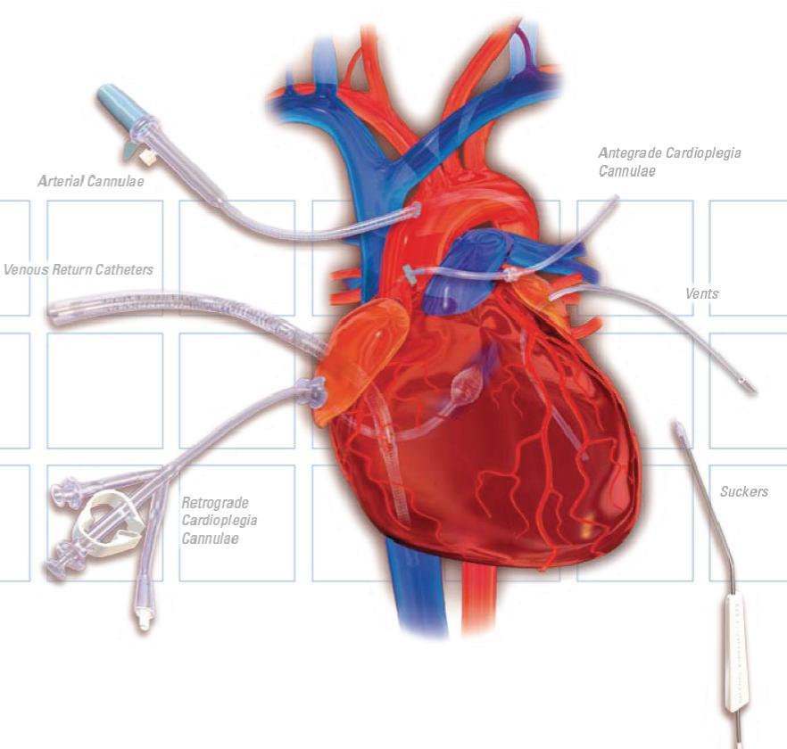 cardiopulmonary bypass. Circulating heparin levels and ACT's are measured three minutes after initiation of bypass and every 60 minutes thereafter.