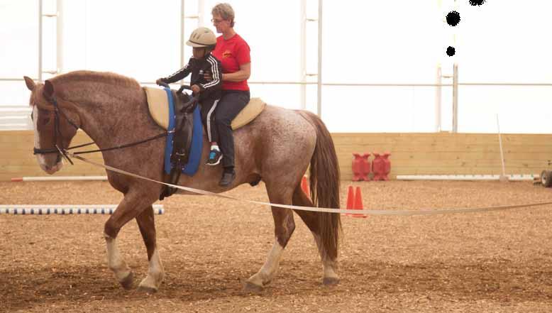 feature By Sheri Benjamin If You Build It, They Will Come Karin and Avenir Karin Schmidt s Mission to Make the Midwest a Vaulting Mecca Michigan s Karin Schmidt is on a mission-- to make the United