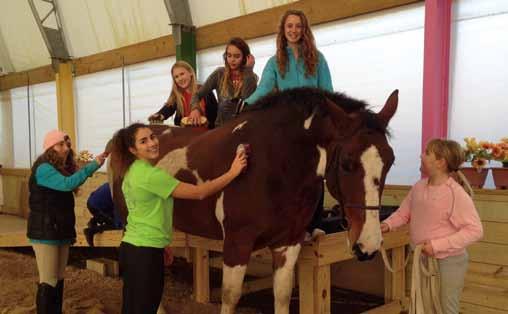 When she was seven, her parents did allow her to go to a local horse barn, and because vaulting was the least expensive of the equestrian sports, and because she didn t EDITOR S NOTE: Karin Schmidt