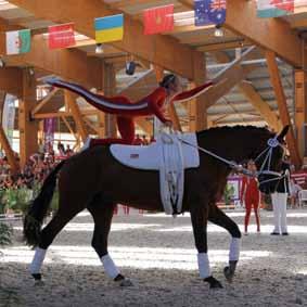 two bronze medals. Vaulters on Stan won five National Championship titles. He was the USEF Squad Horse of the Year Champion or Reserve Champion for four consecutive years.