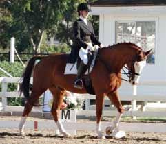 Three Great Exercises Walking Not a Sunday stroll but walking with activity and asking the hind legs to step as deep as possible, creating as much overstep as your horse s conformation will allow.