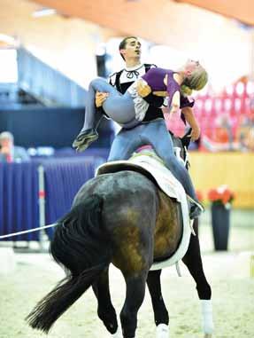 I suggest reading the AVA Rule Book and the FEI Guidelines for Vaulting. Both publications can be downloaded from the AVA website: www.americanvaulting.