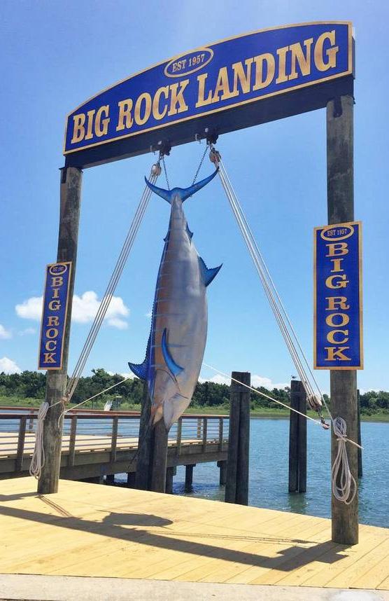 Marlin Tournament - the largest
