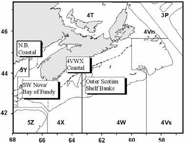 The terms of reference included an evaluation of the Southwest (SW) Nova Scotia/Bay of Fundy spawning component, compilation and review of information regarding the offshore Scotian Shelf and the