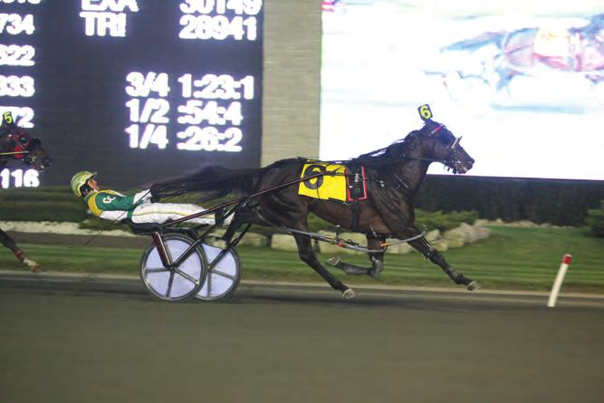 Champion Fancy Filly p,2,1:51.
