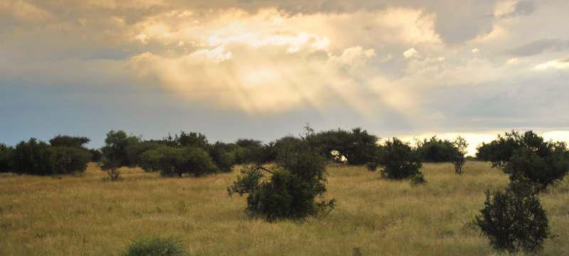 A SUPERB WINTERSHOEK BOWHUNTING AREA Linksfontein for Bowhunting Winterhoek s bowhunting enclave at Linksfontein