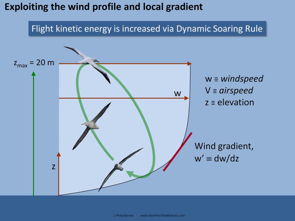 Let s take a look at the wind profile far out at sea. Although the boundary layer shape looks quite familiar, we may be surprised to learn that its height is perhaps 20-meters.