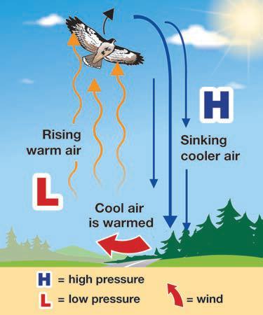 6.1 Introduction to Weather Weather is a term that describes the condition of the atmosphere in terms of temperature, atmospheric pressure, wind, and water.