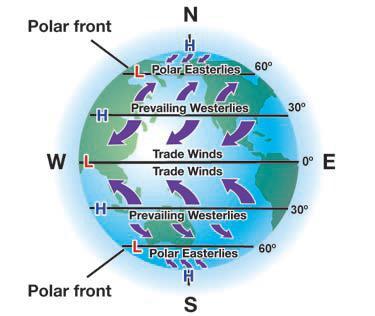 Prevailing westerlies The trade winds set up a high-pressure area at about 30 N latitude. Air along the surface between 30 N and 60 N moves northward, from high to low pressure.
