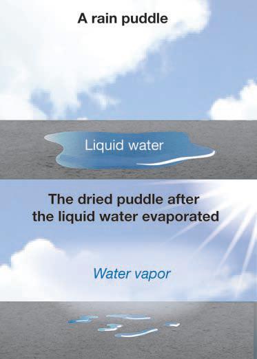 Figure 6.5: When a puddle dries, the water can becomes water vapor in the atmosphere. However, water in a puddle can also seep into the ground.