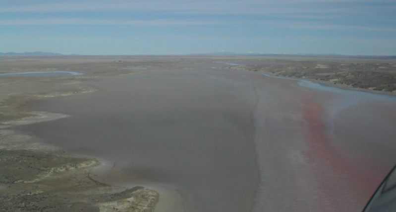 I continued east to Laguna del Perro, a 30 mile chain of salt flats and intermittent lakes that lie between