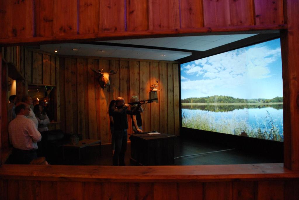 Double projector system with a field of view =