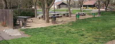 Picnic facilities 20% of outdoor constructed features in public and common use areas serving accessible
