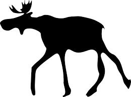 Moose 3 Red deer 1