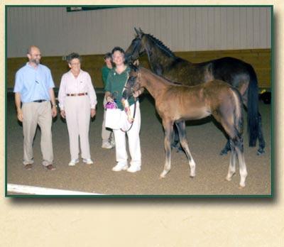 .." He then placed third in the Colt Championship to two 3-year-old stallions. Photo: Bob Tarr. RUBIN MAGIC 2006 COLT BY RUBIANO-TOP COLT AT AHS INSPECTION!