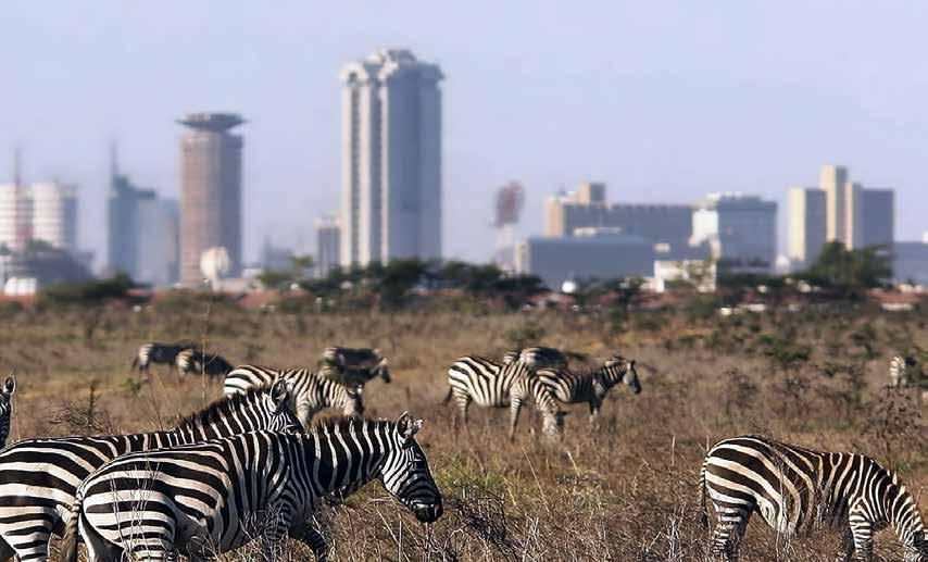 NAIROBI EXCURSIONS Kenya s capital Nairobi is often just a transit point for tourists heading out to enjoy a safari or beach holiday.