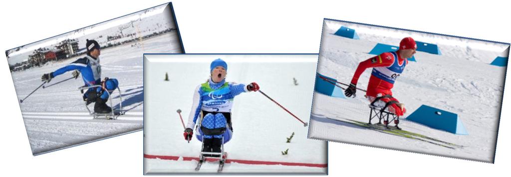 Double Poling in cross-country sit ski Progression achieved by pushing symmetrically on two hand-held poles.