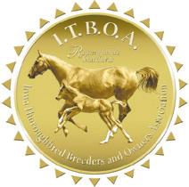 It is an incentive program that pays owner, breeder, and stallion owner awards to those who participate in the breeding and racing of Thoroughbreds in Texas.