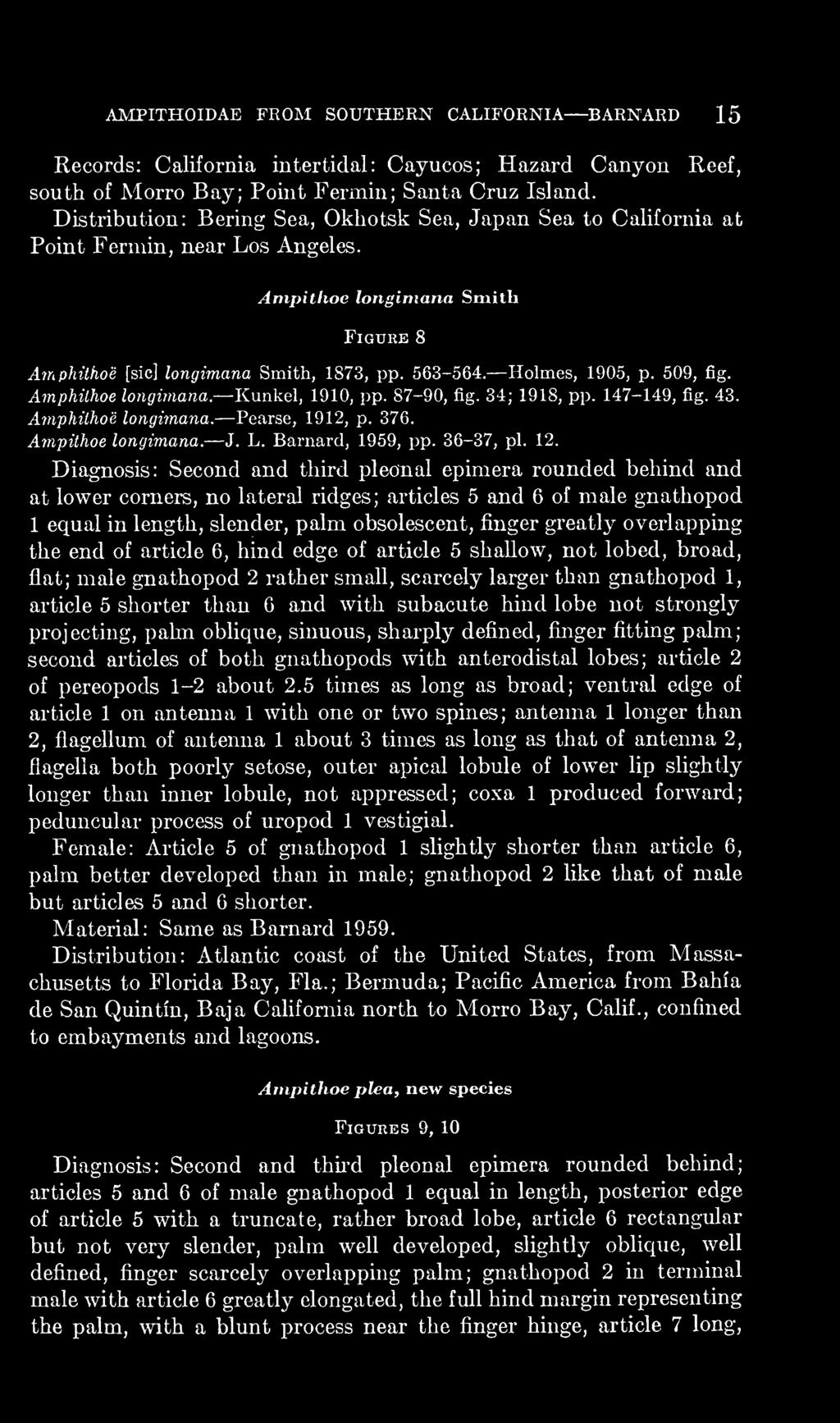 509, fig. Amphiihoe longimana. Kunkel, 1910, pp. 87-90, fig. 34; 1918, pp. 147-149, fig. 43. Amphithoe longimana. Pearse, 1912, p. 376. Ampithoe longimana. J. L. Barnard, 1959, pp. 36-37, pi. 12.