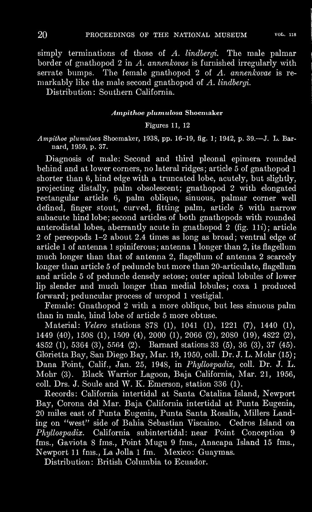 Atnpithoe plumulosa Shoemaker Figures 11, 12 Ampithoe plumulosa Shoemaker, 1938, pp. 16-19, fig. 1; 1942, p. 39. J. L. Barnard, 1959, p. 37.