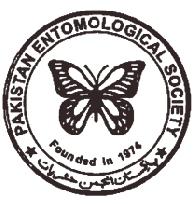 Pkistn Entomologist Journl homepge: www.pkentomol.com VISUAL AND OLFACTORY STIMULI AFFECTING THE RESPONSE OF RHAGOLETIS CINGULATA (LOEW) AND R.