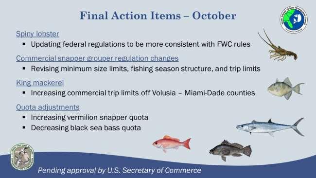 The South Atlantic Council took final action to approve several items in October: Spiny lobster: The Council approved updated federal spiny lobster regulations that are more consistent with FWC